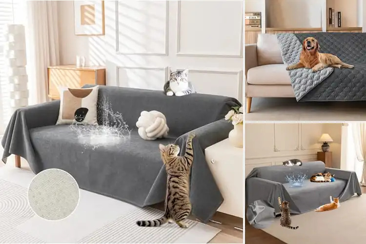 Detailed view of Best Scratch Resistant Covers