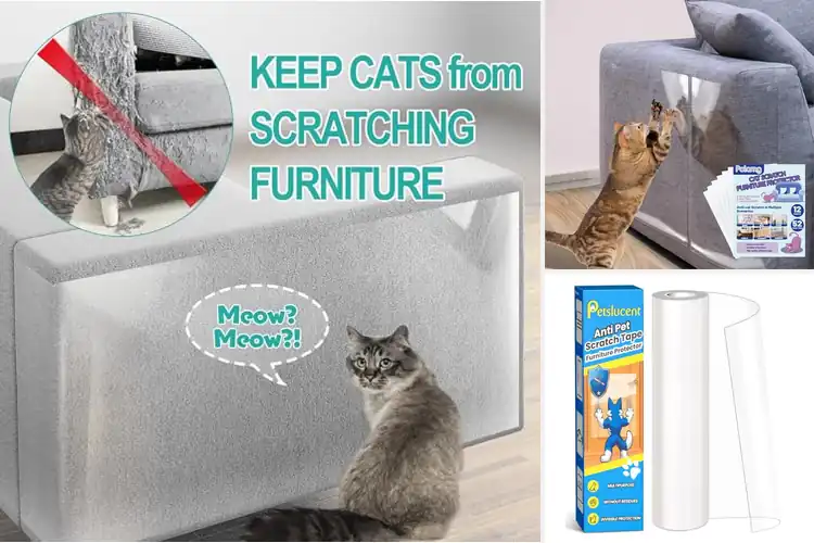 Detailed view of Best Scratch Resistant Protectors